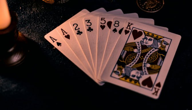 rose678